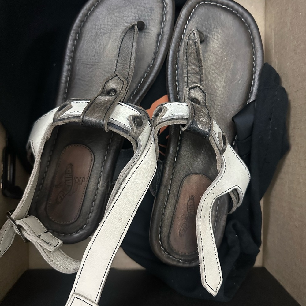 Freebird Brown and Cream Sandals